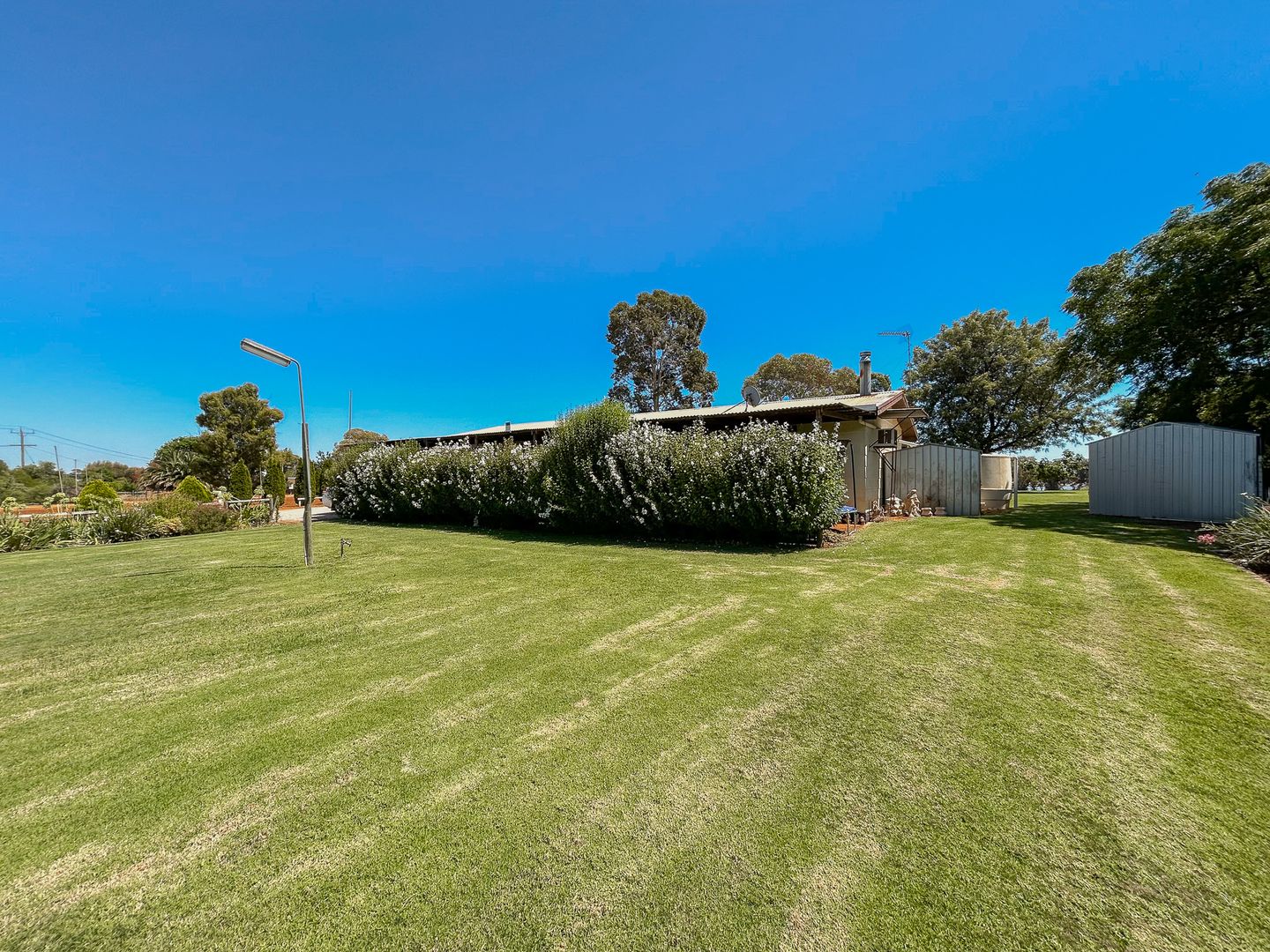 238 Lake Road, Woorinen VIC 3589, Image 2