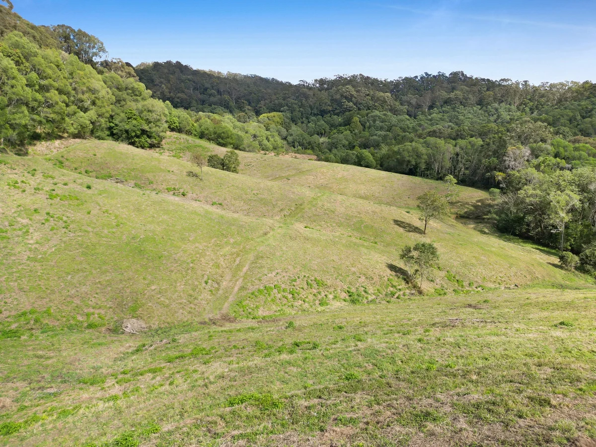 Image 15