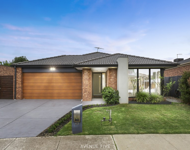 43 Macfarlane Street, Marshall VIC 3216