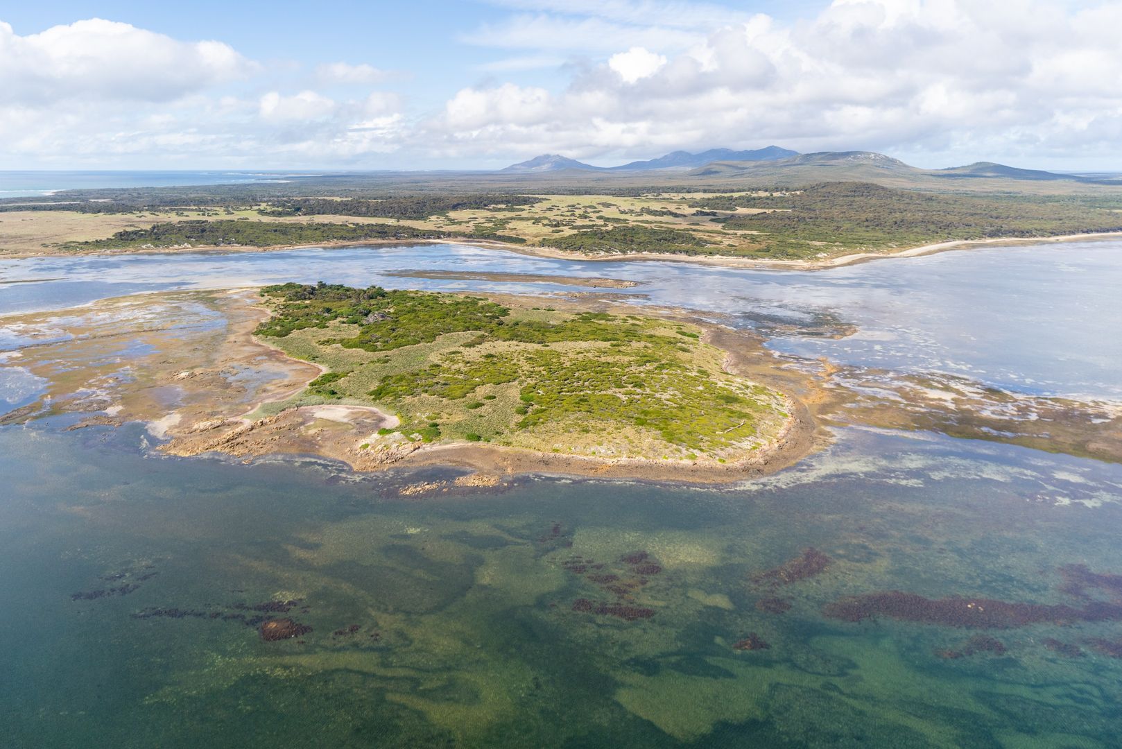 . Puncheon Island, Lady Barron TAS 7255, Image 2