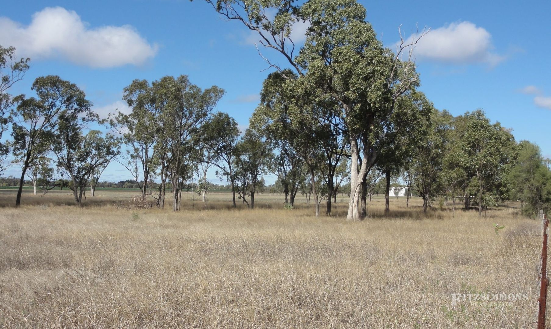 Lot 331 Hoffman Street, Dalby QLD 4405, Image 2