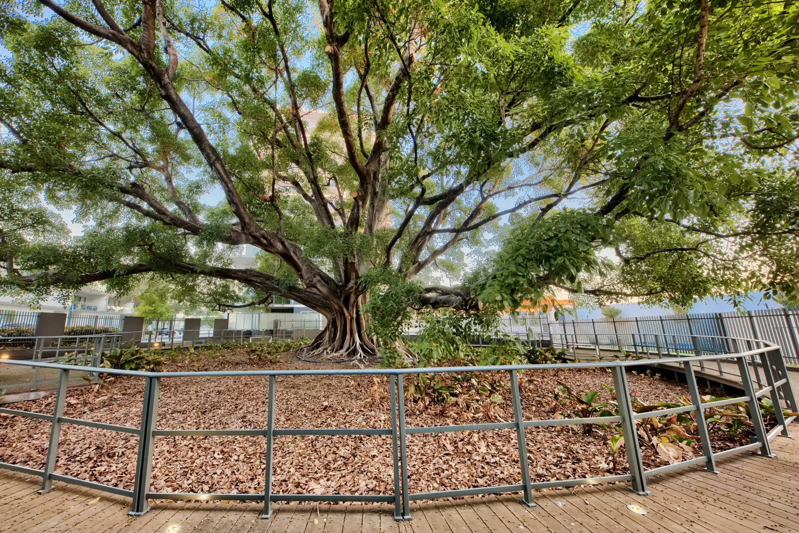 Additional image 25 of 37/1 Rowe Avenue, Rivervale WA 6103