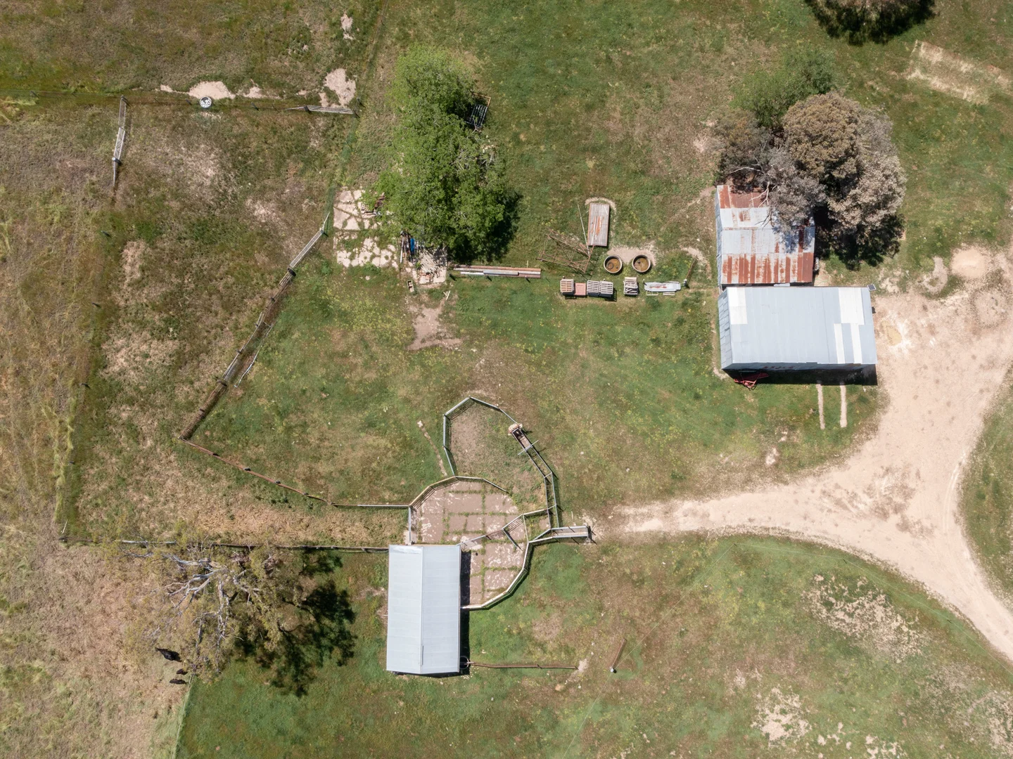 Image 11