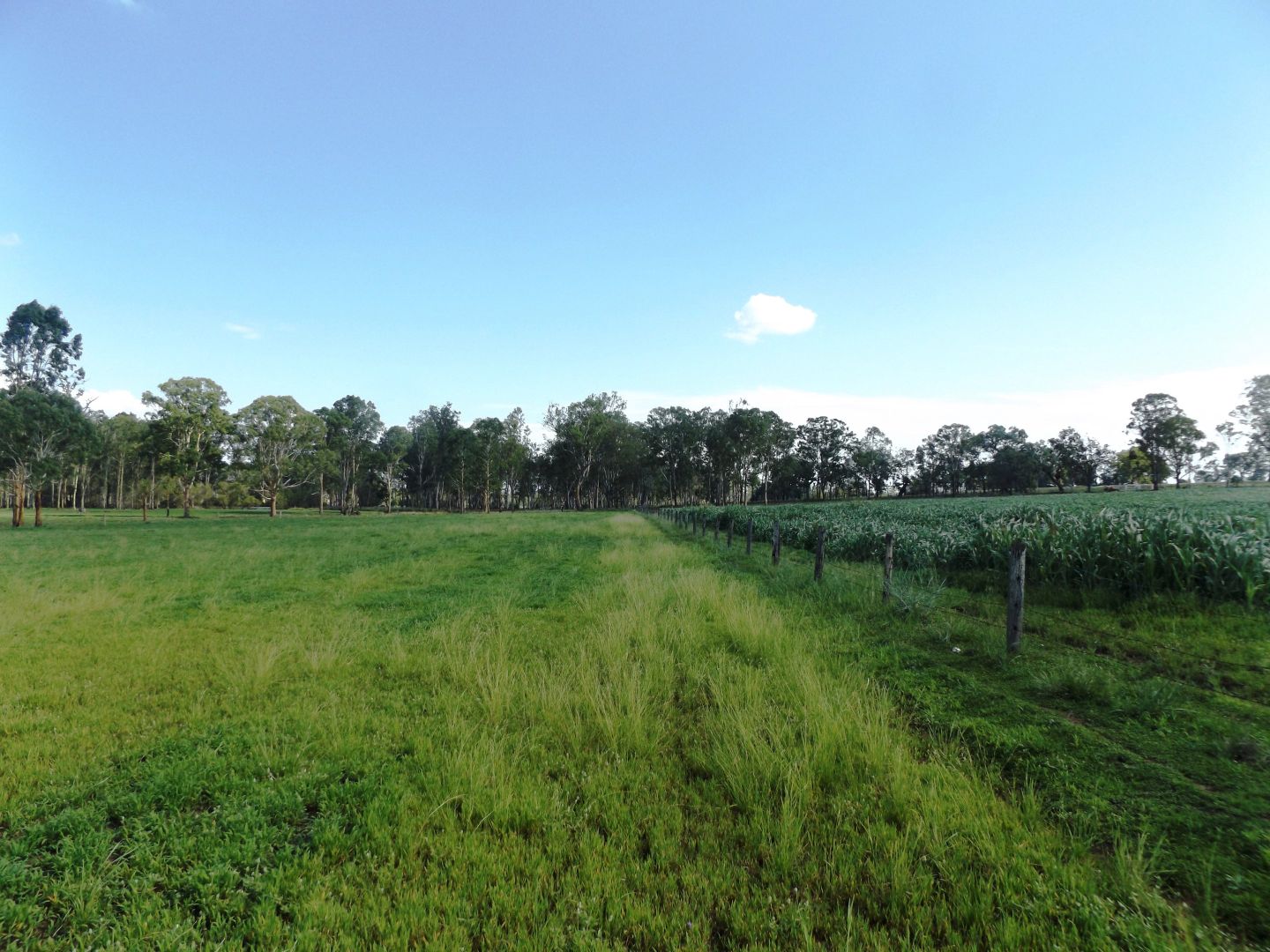 134 Kings Bridge Road, Nanango QLD 4615, Image 2