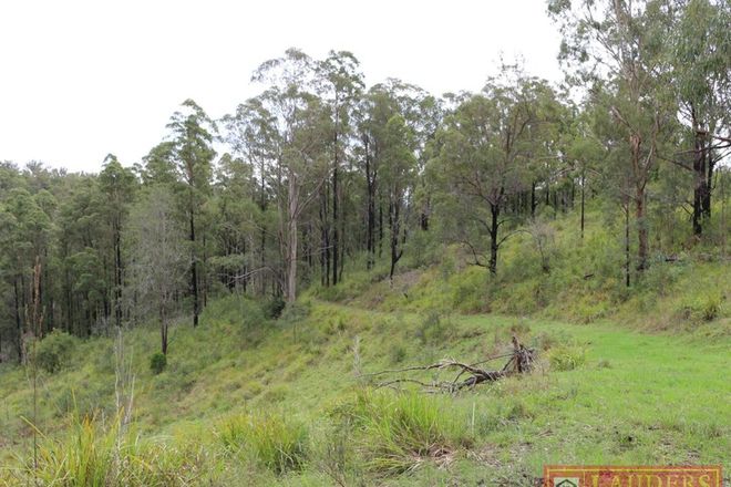 Picture of Lot 102 Gilloglys Road, BULGA FOREST NSW 2429