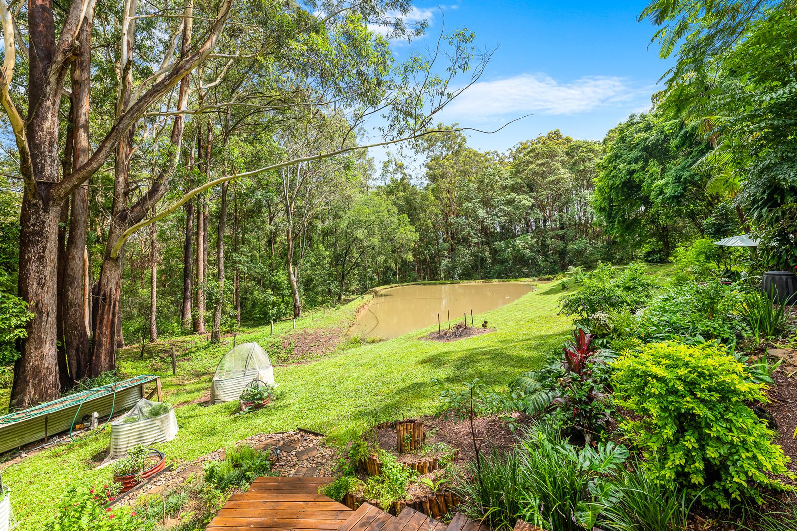 Palmwoods QLD 4555, Image 1