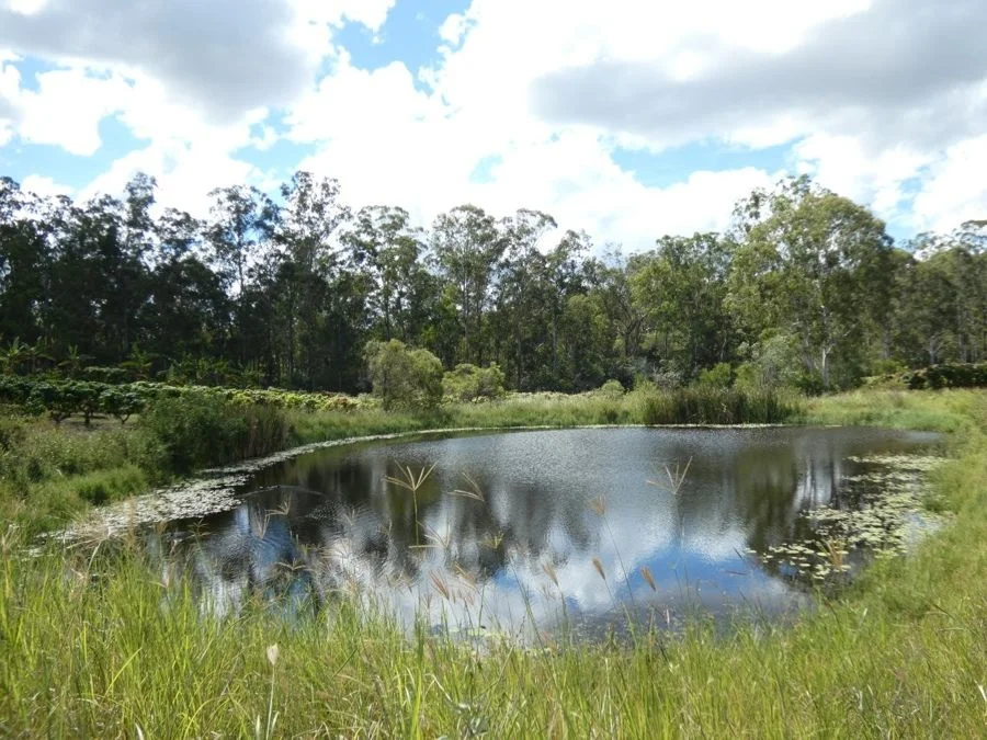 Image 22