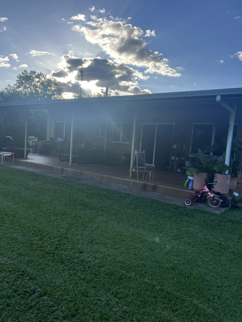 Image 15