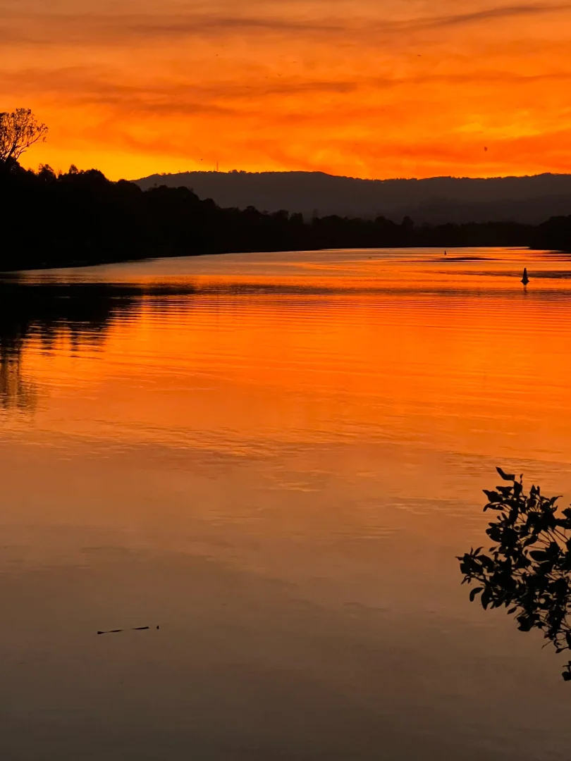 Additional image 27 of 7/4 Koala Town Road, Upper Coomera QLD 4209