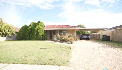 Picture of 19 Wooramel Way, COOLOONGUP WA 6168