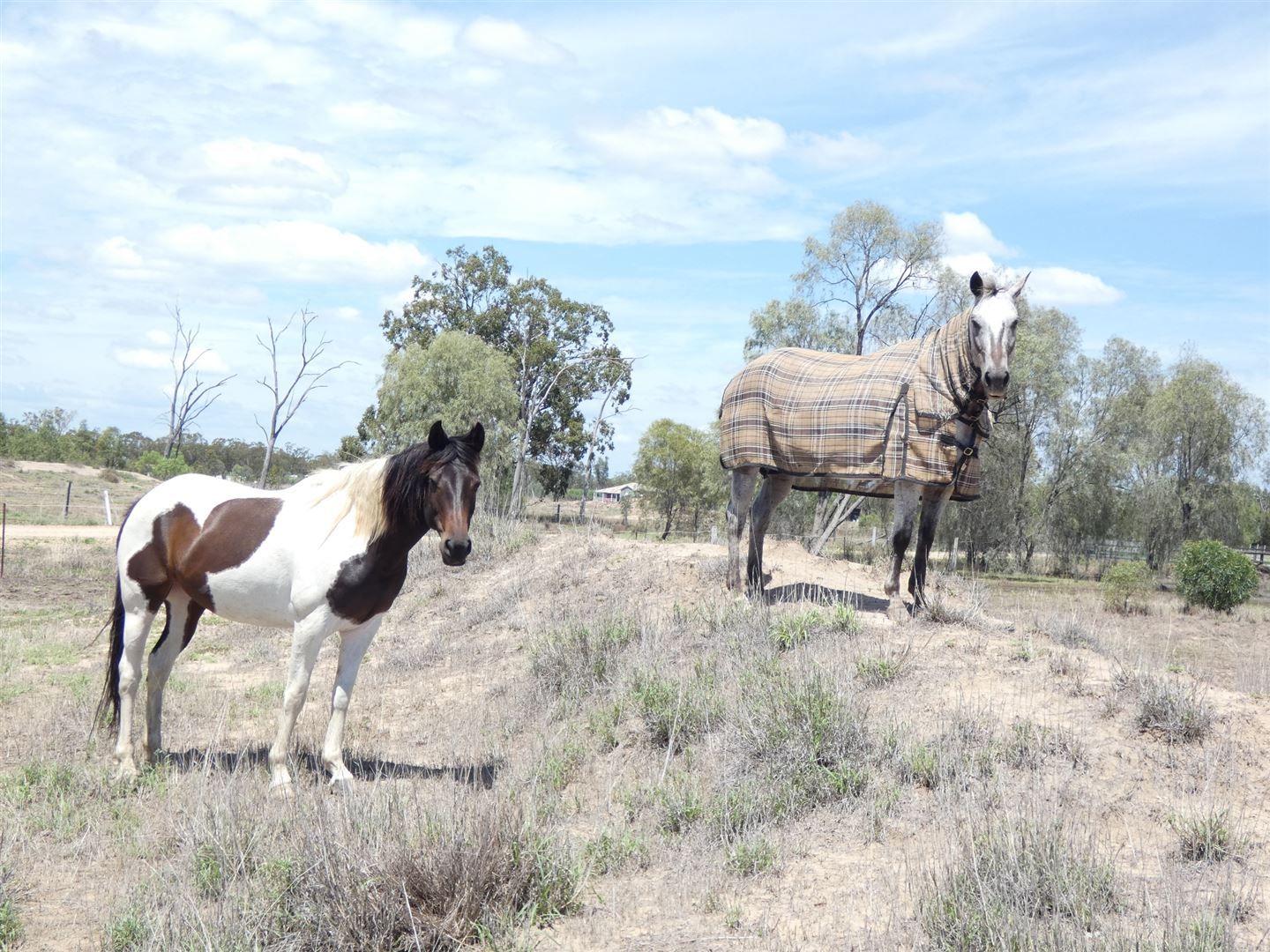 Lot 3 McCaffery Road, Chinchilla QLD 4413, Image 0