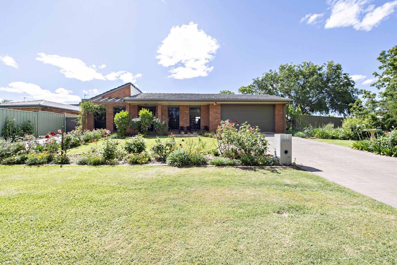 77 Margaret Crescent, Dubbo NSW 2830, Image 0