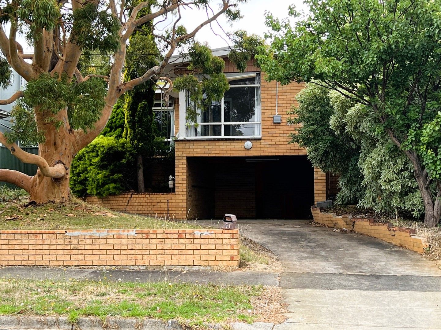 41 Iona Avenue, Belmont VIC 3216, Image 0