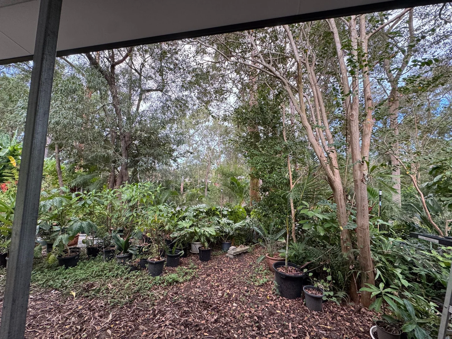 Additional image 14 of Granny flat/262 Kangaroo Gully Rd, Bellbowrie QLD 4070