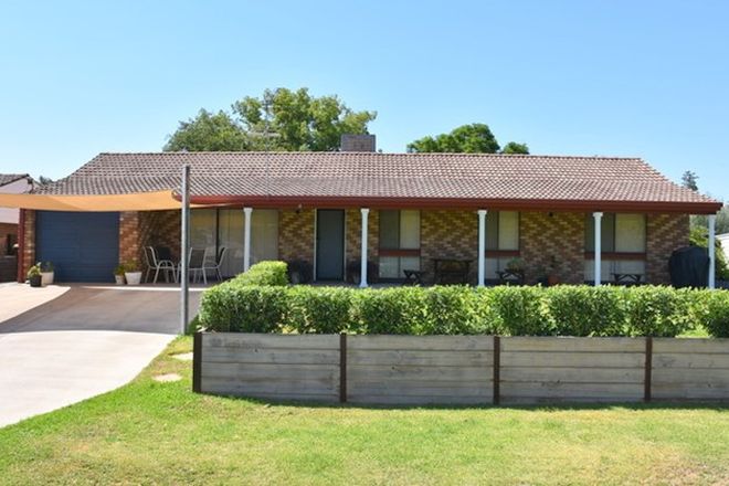 Picture of 11 Logan Lane, MOREE NSW 2400