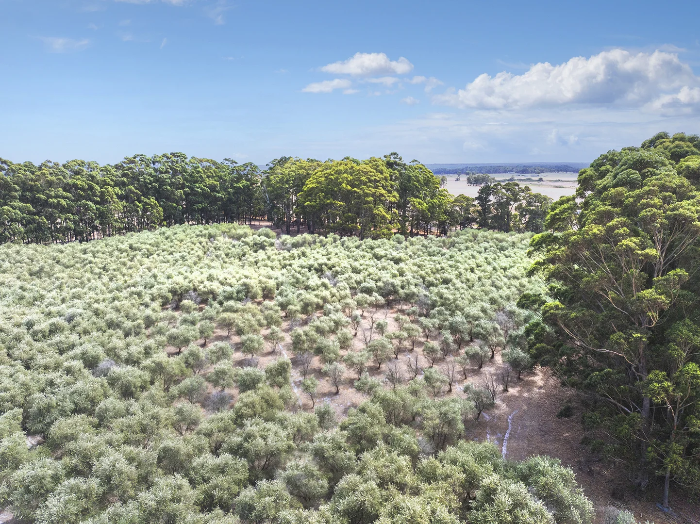 Additional image 22 of 69 Campbell Road, Warner Glen WA 6288