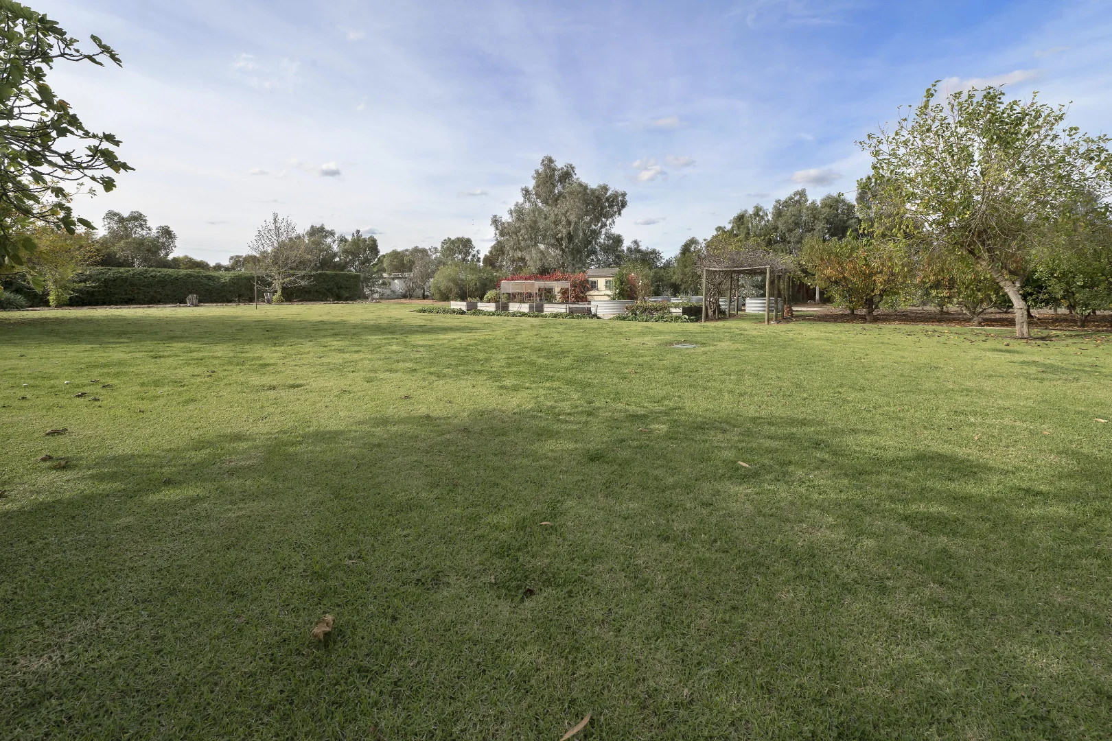 Image 31