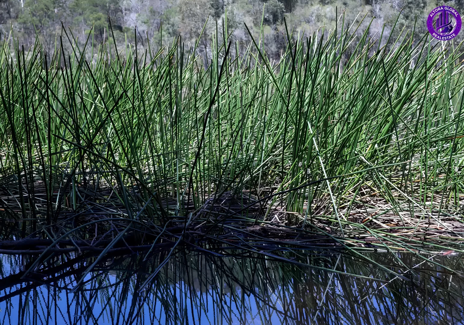 Image 22