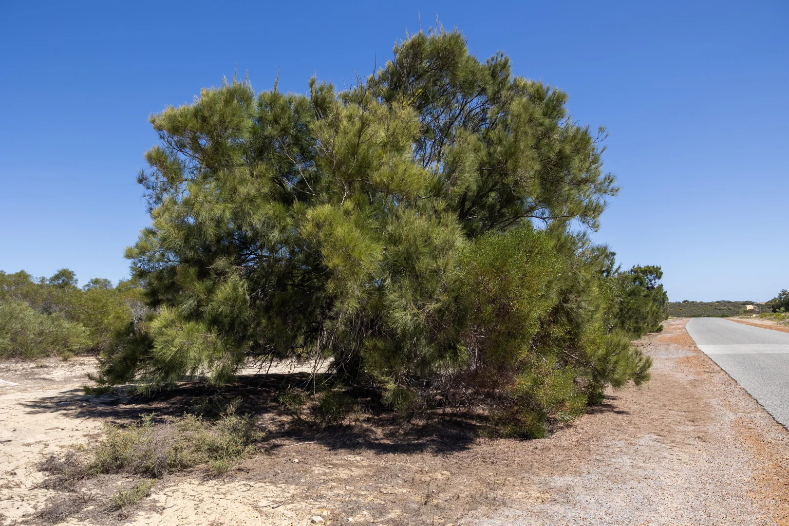 Additional image 7 of Lot 168 Jurien Bay Vista, Jurien Bay WA 6516