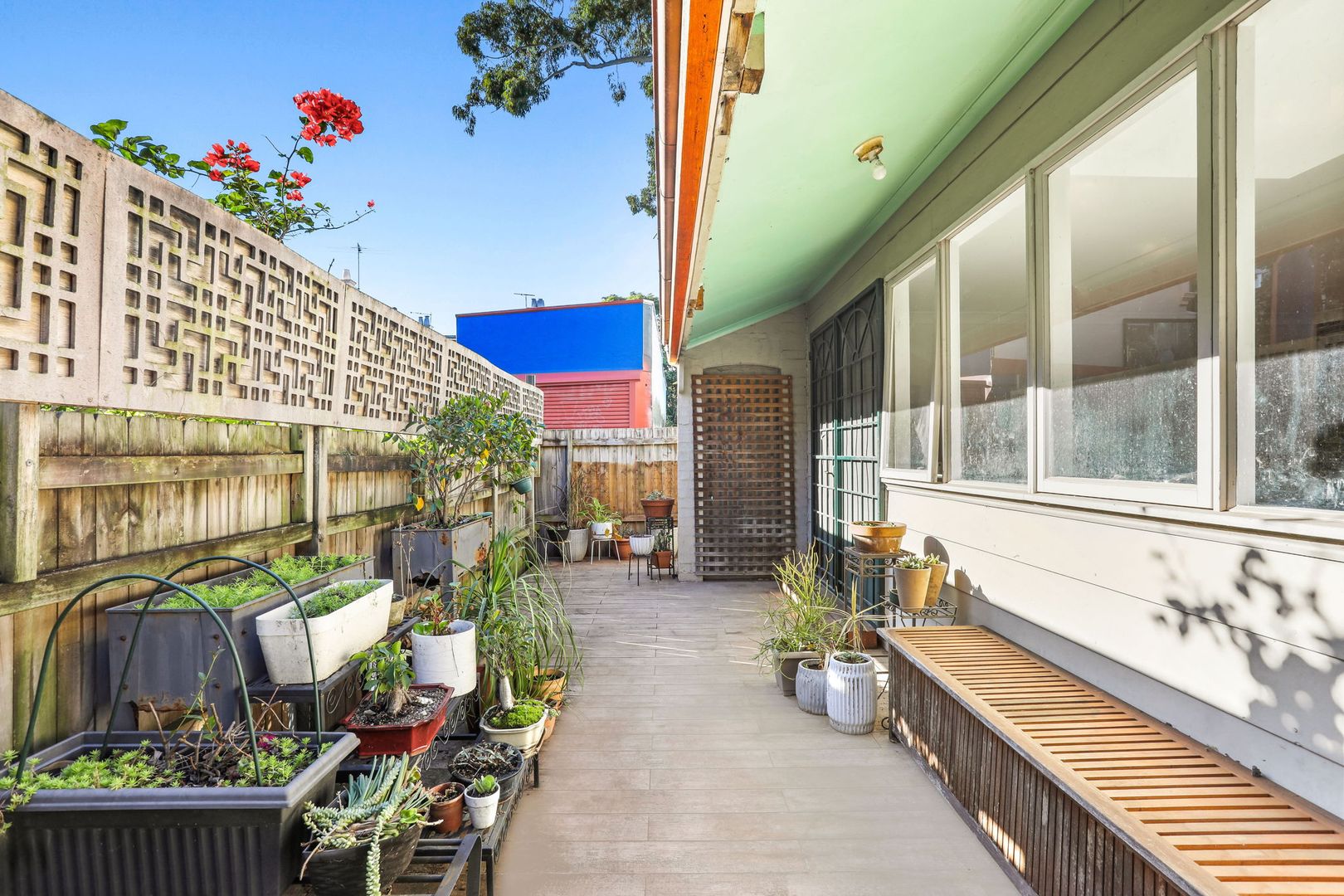 86 Vine Street, Darlington NSW 2008 House For Rent Domain