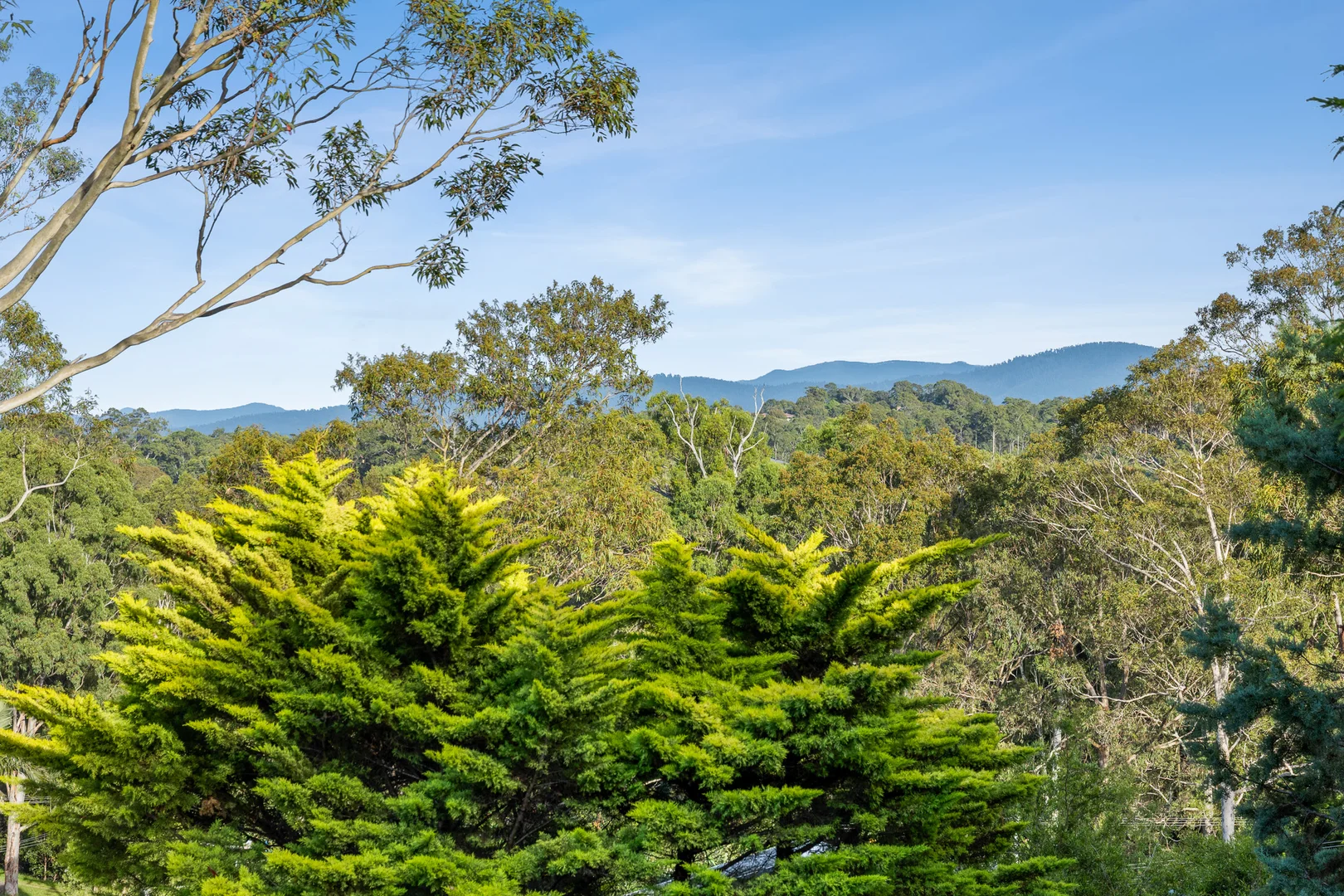 Additional image 8 of 89 Berrima Parade, Surfside NSW 2536