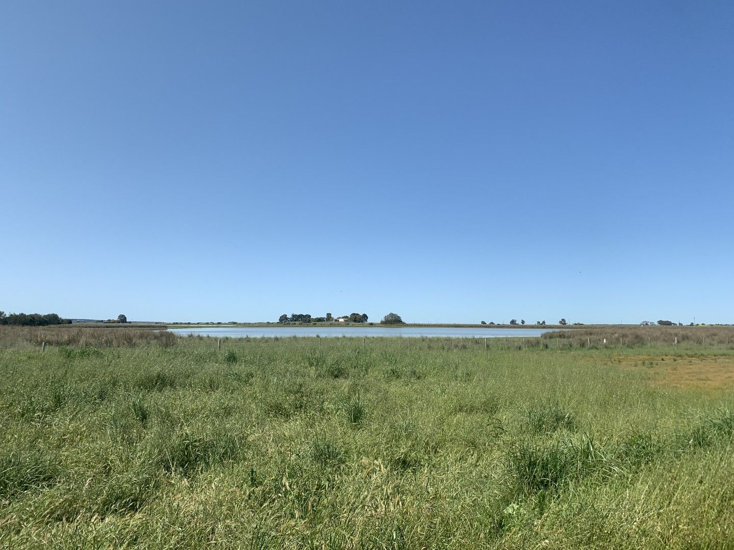 LOT 1141 Lucindale Road, Naracoorte SA 5271, Image 0