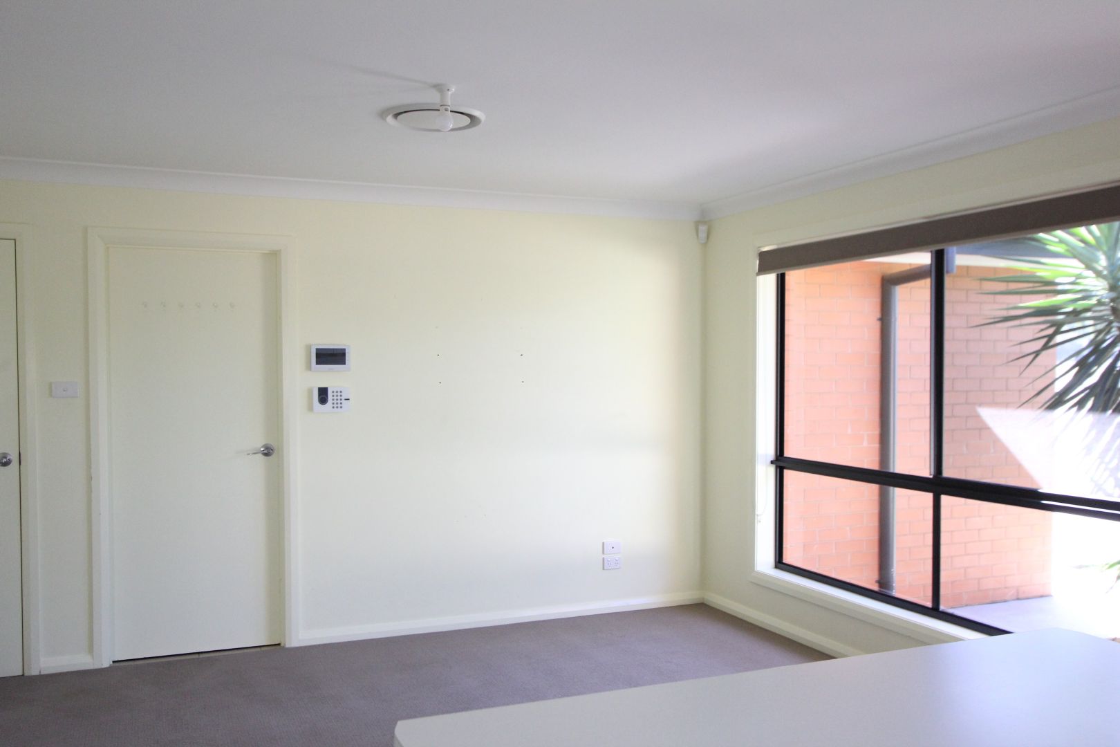 2/6 Whitton St, Narrandera NSW 2700 House For Rent Domain