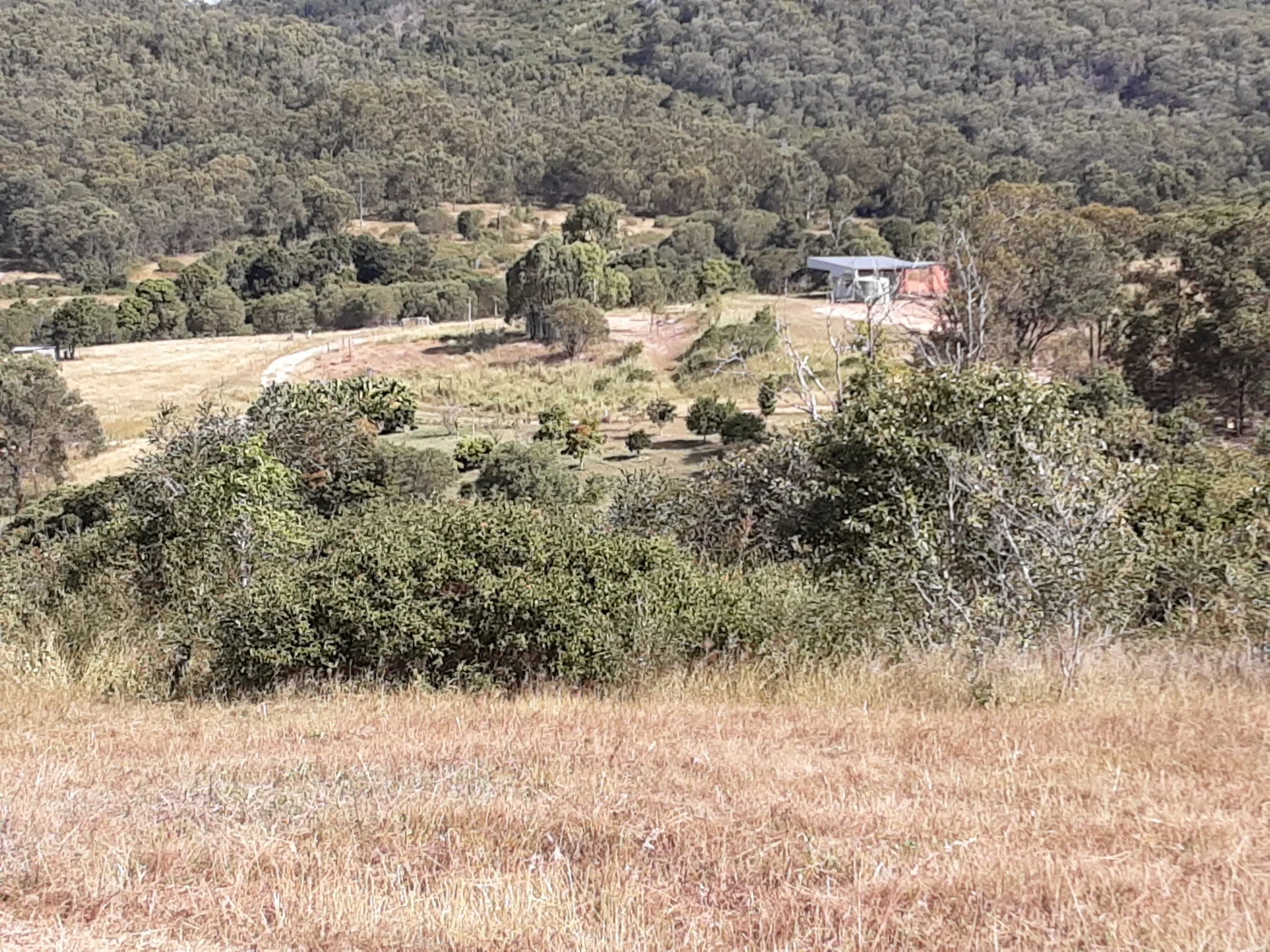 Image 25