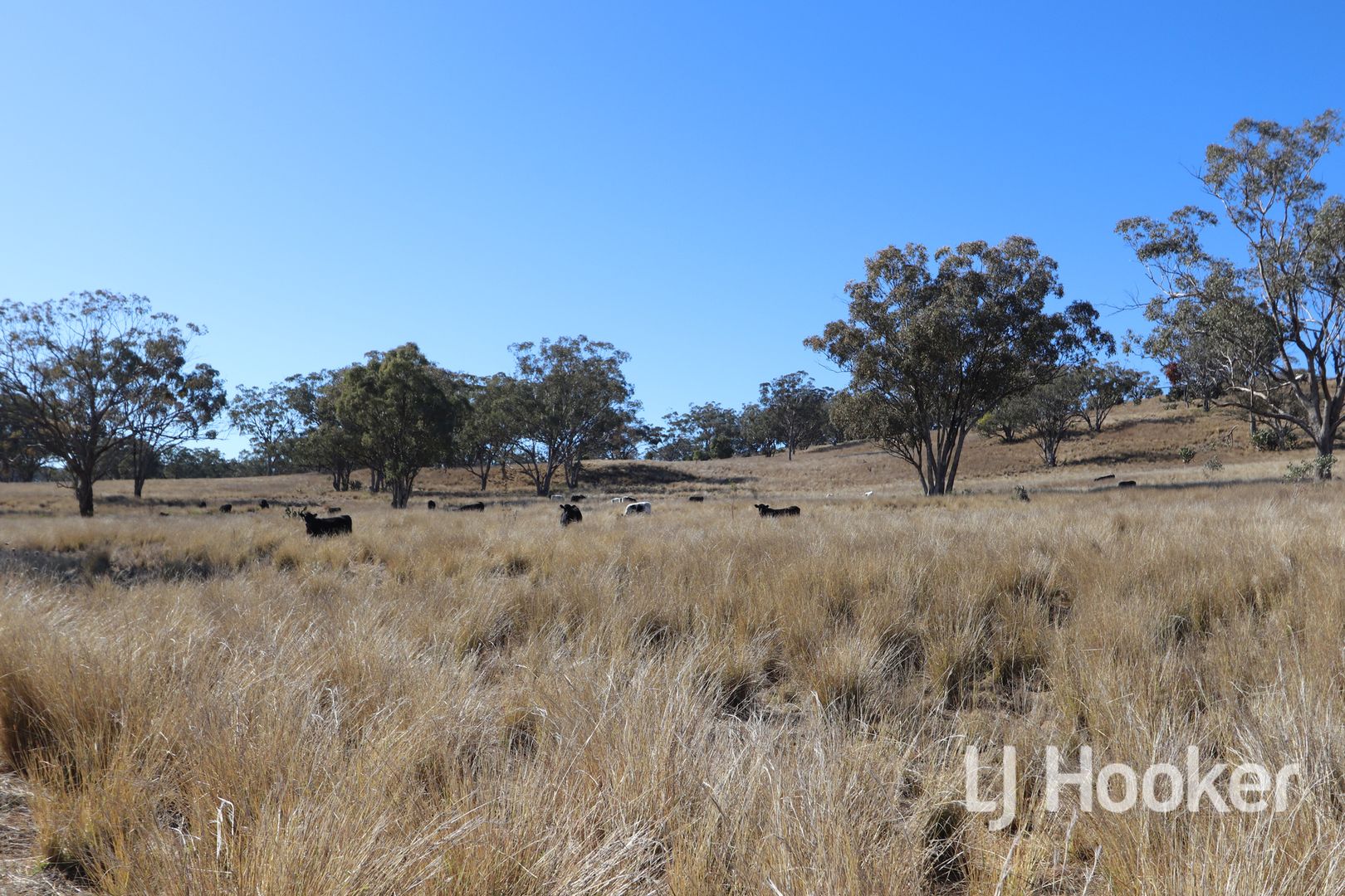 310 Burts Lane, Inverell NSW 2360, Image 1