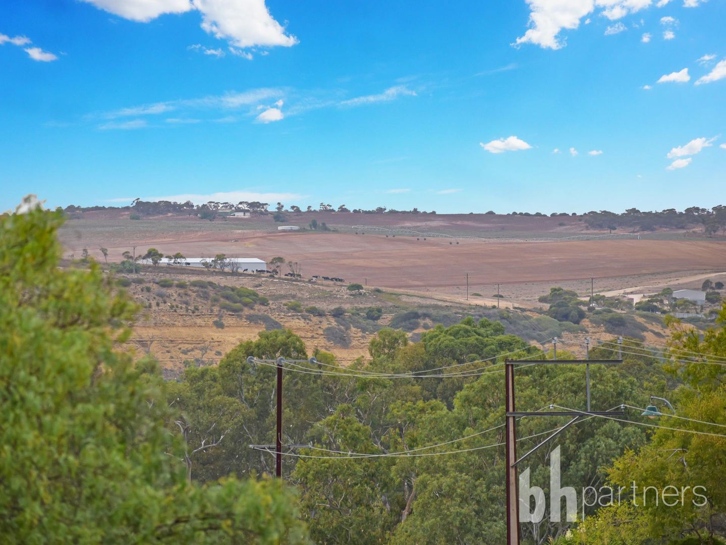 36 Albert Street, Mannum SA 5238, Image 1