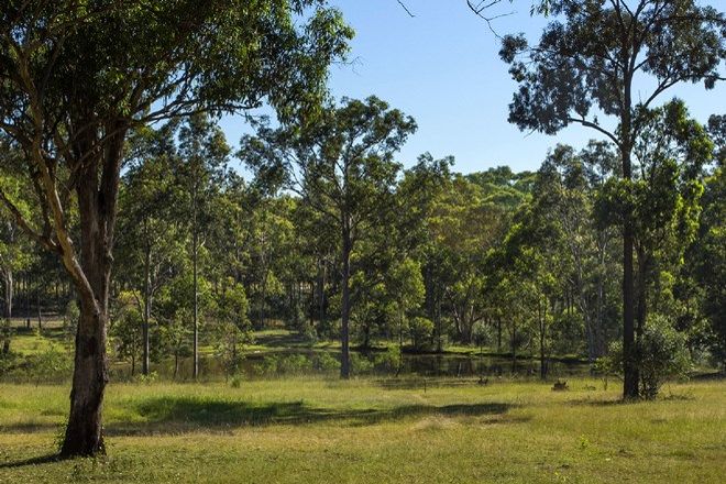 Picture of 7 POTHANA LANE, BELFORD NSW 2335