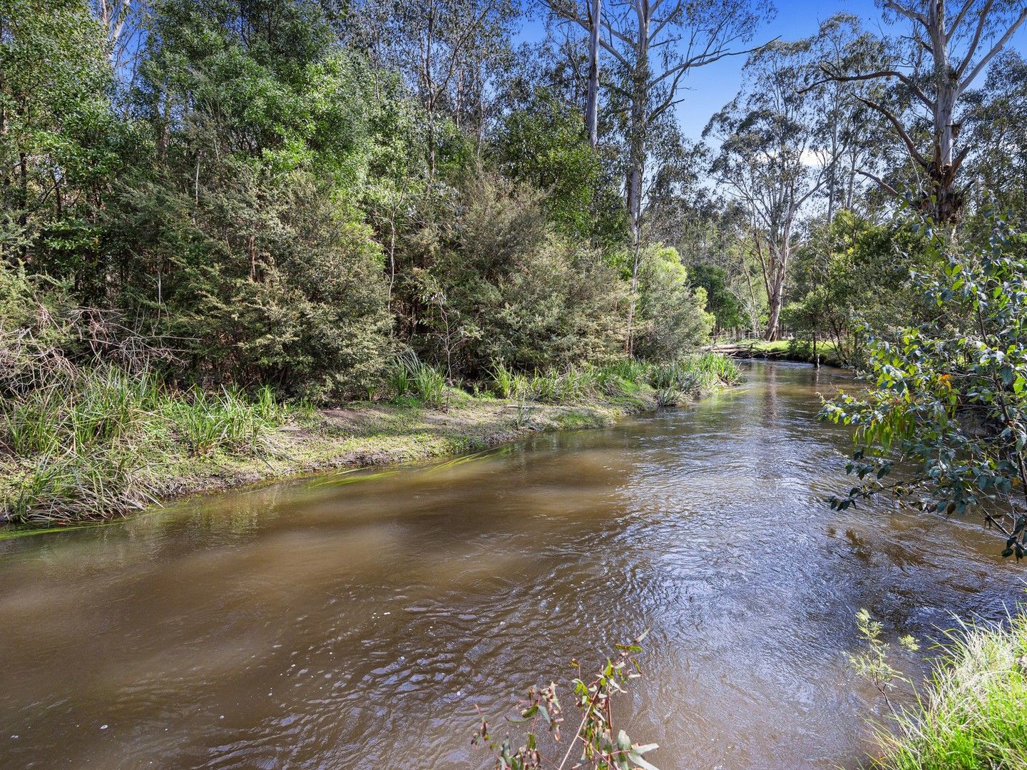 1301 Maroondah Highway, Narbethong VIC 3778, Image 0