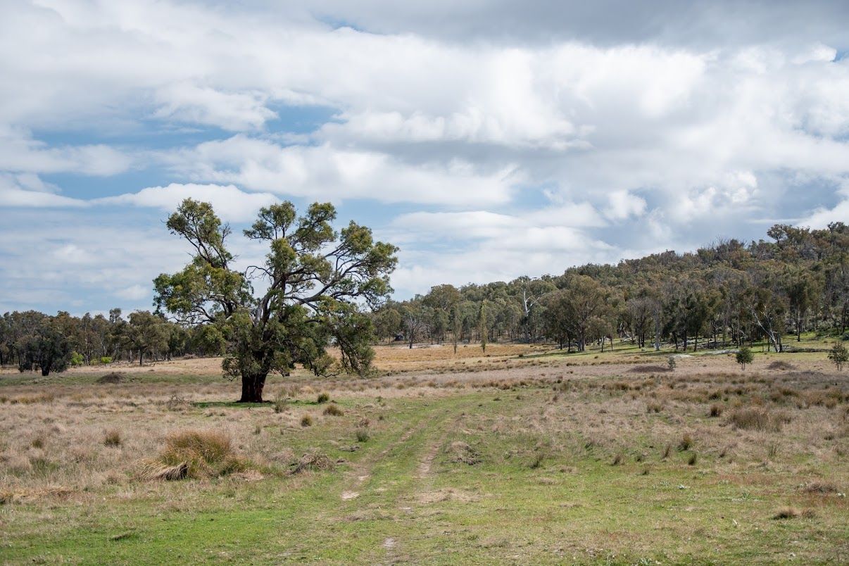 38 GREEN VALLEY ROAD, Bendemeer NSW 2355, Image 2