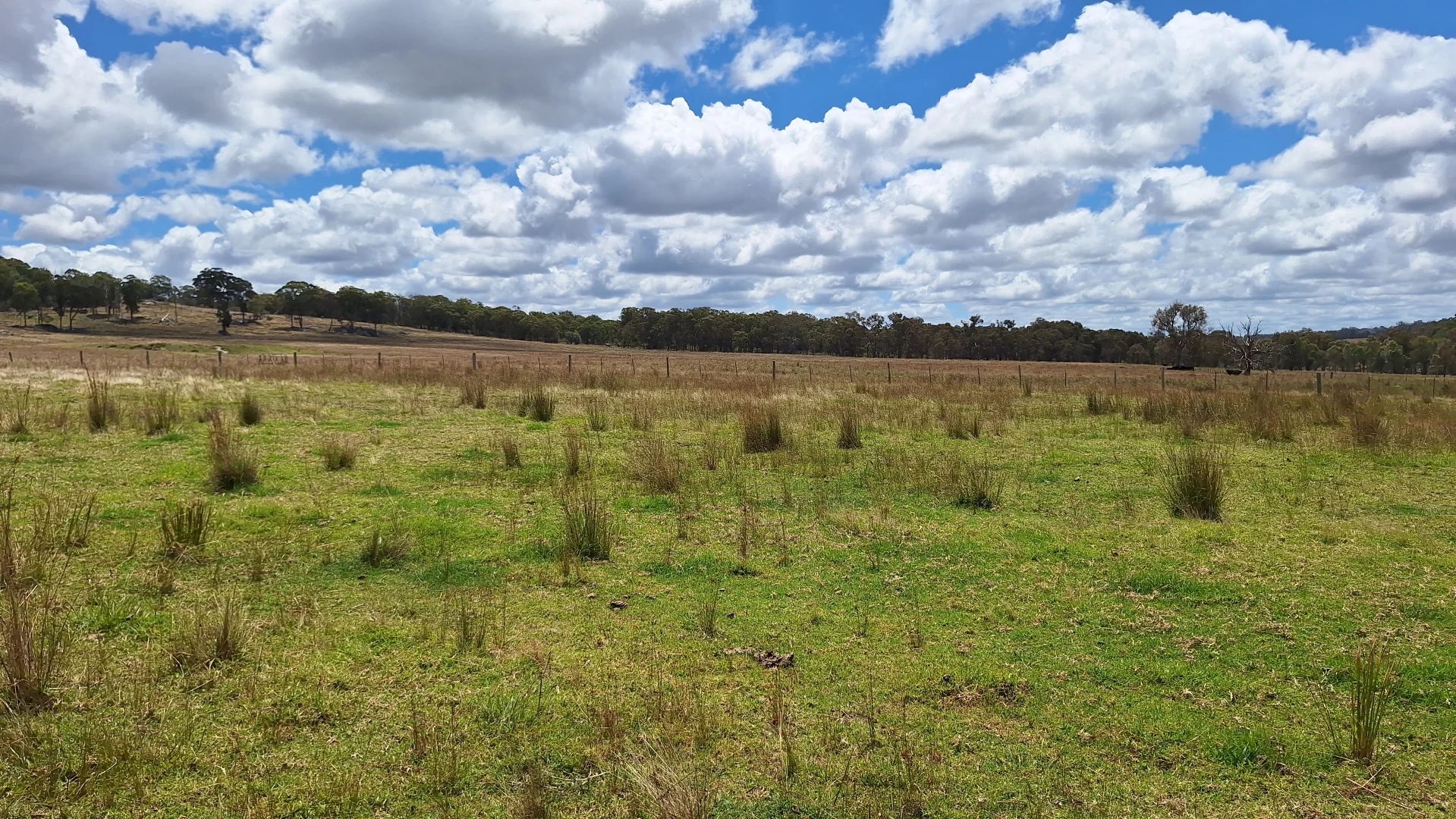 Additional image 2 of Eukey QLD 4380