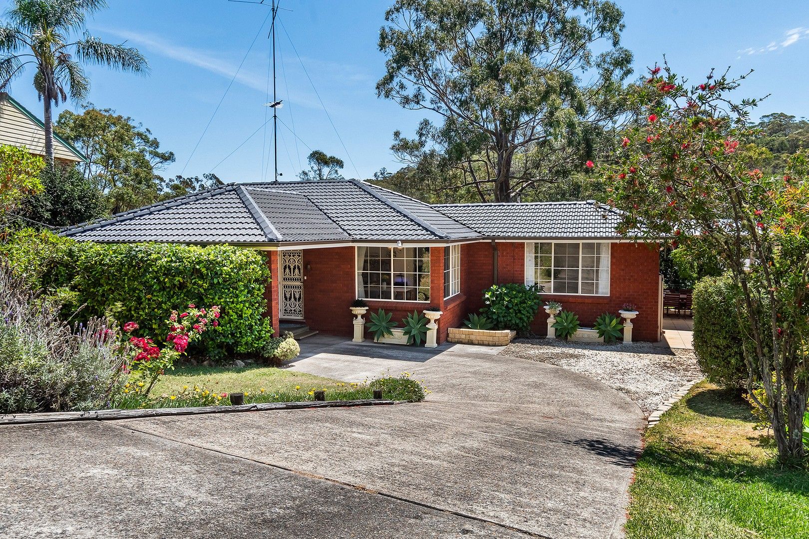 56 Northumberland Avenue, Mount Colah NSW 2079, Image 0