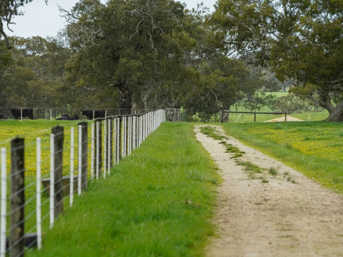 Additional image 16 of 66 Casterton-Edenhope Road, Casterton VIC 3311