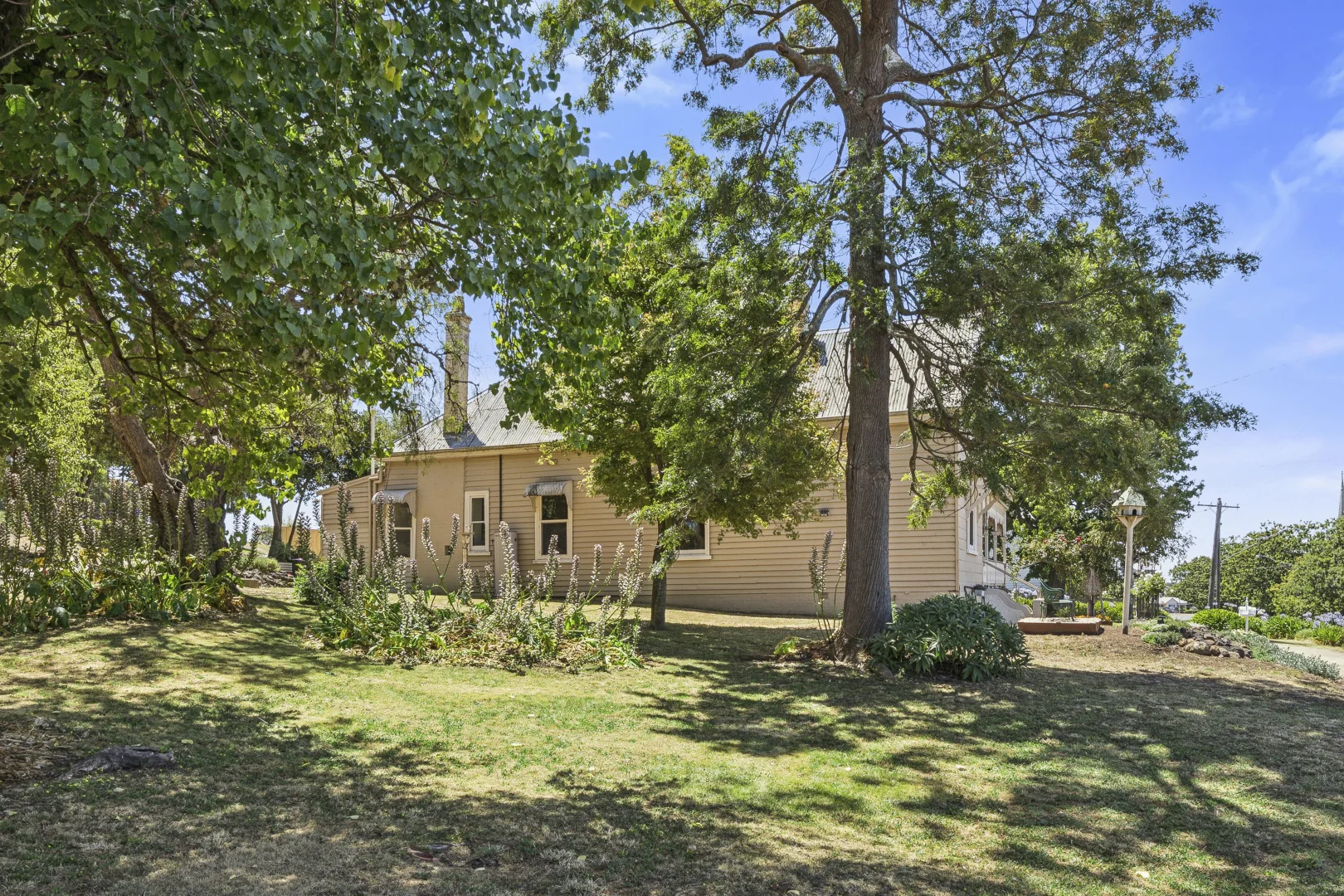 Image 19