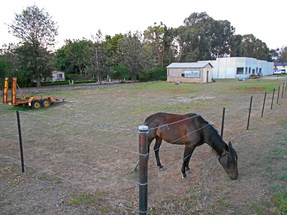 15 -17 Mount Street, Gundagai NSW 2722, Image 2