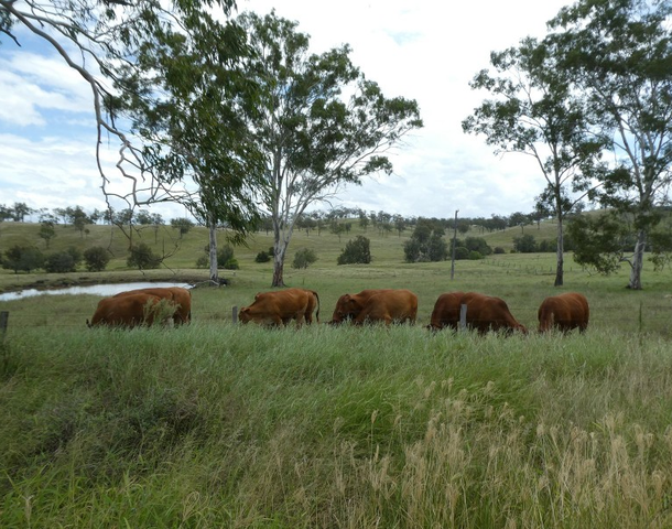 824 Aberdeens Road, Wilson Valley QLD 4625