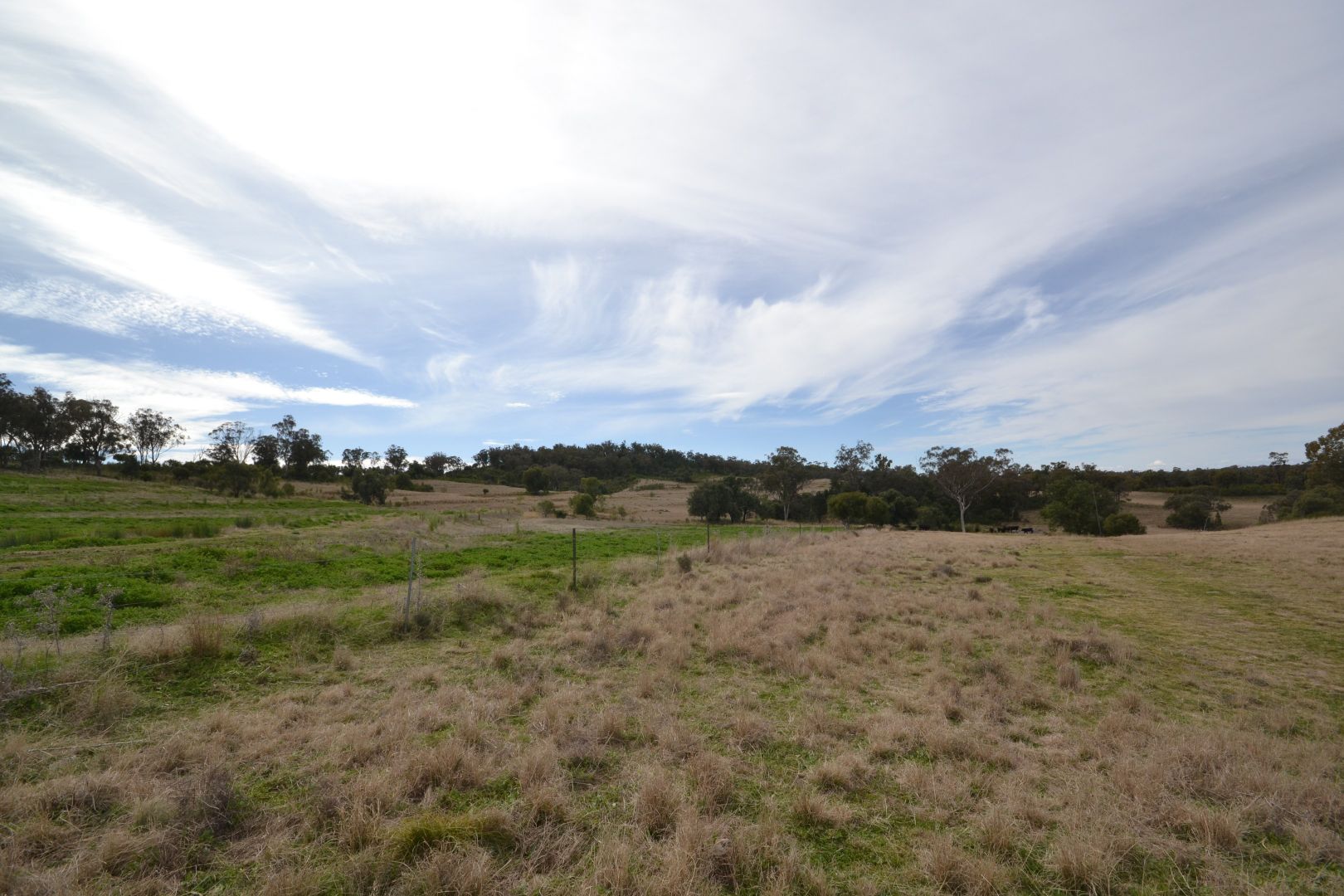 1550 Adams Scrub Road, Delungra NSW 2403 House for Sale Domain