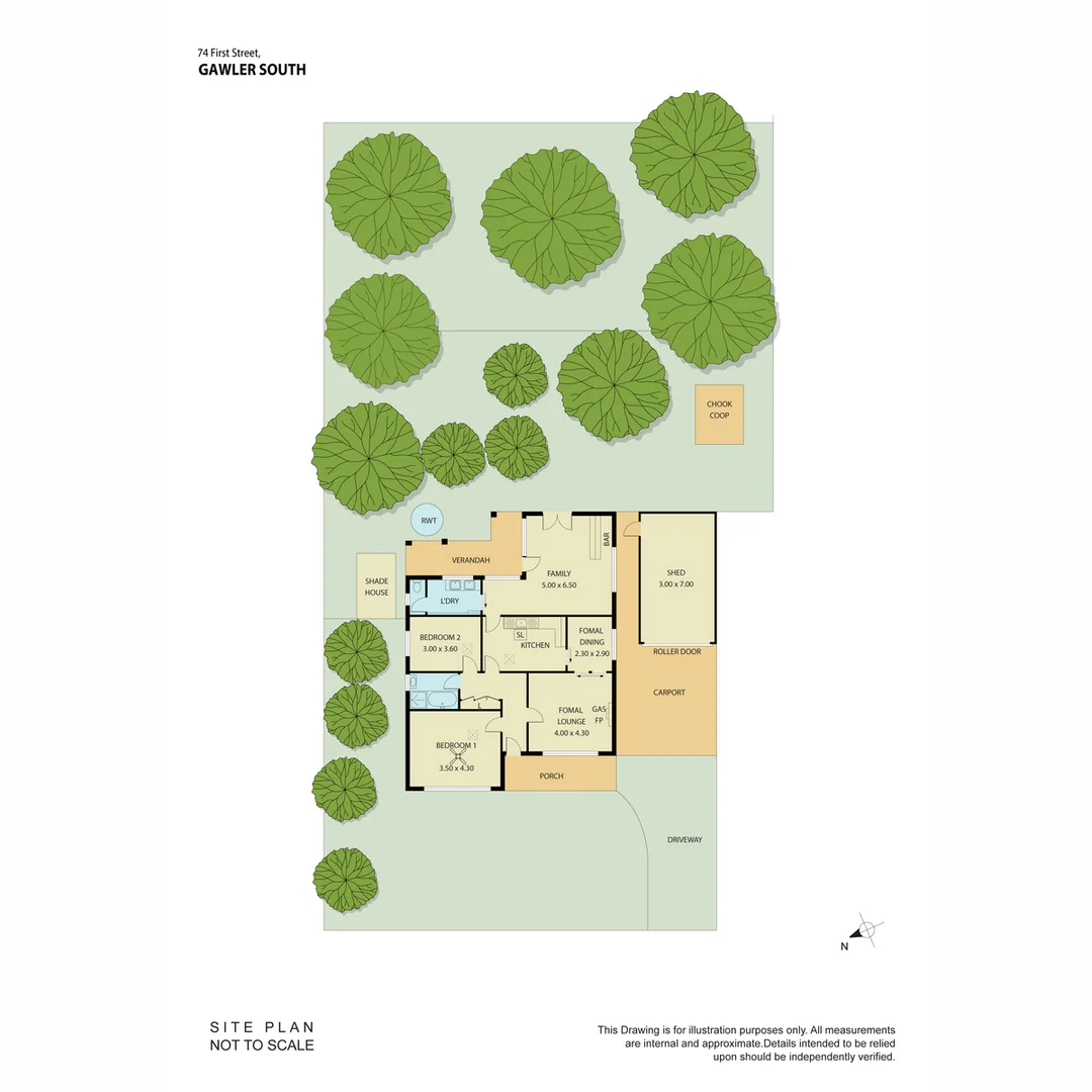 Image 19