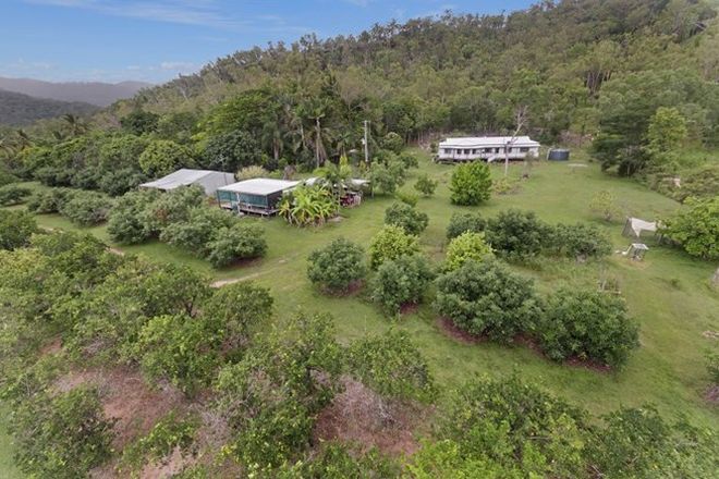 Picture of 22 Caleo Road, MUTARNEE QLD 4816