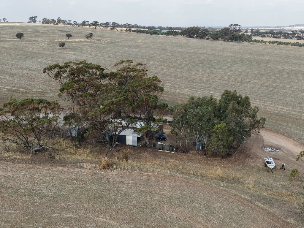 Image 22