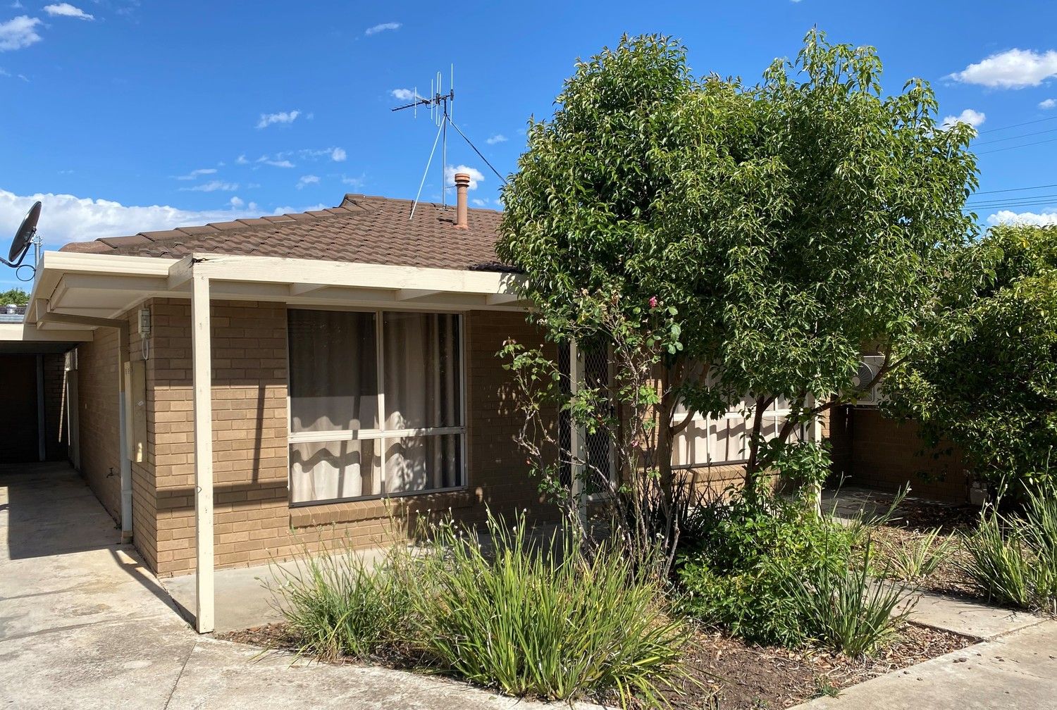 5/8183 MacIntosh Street, Shepparton VIC 3630 Apartment For Rent Domain