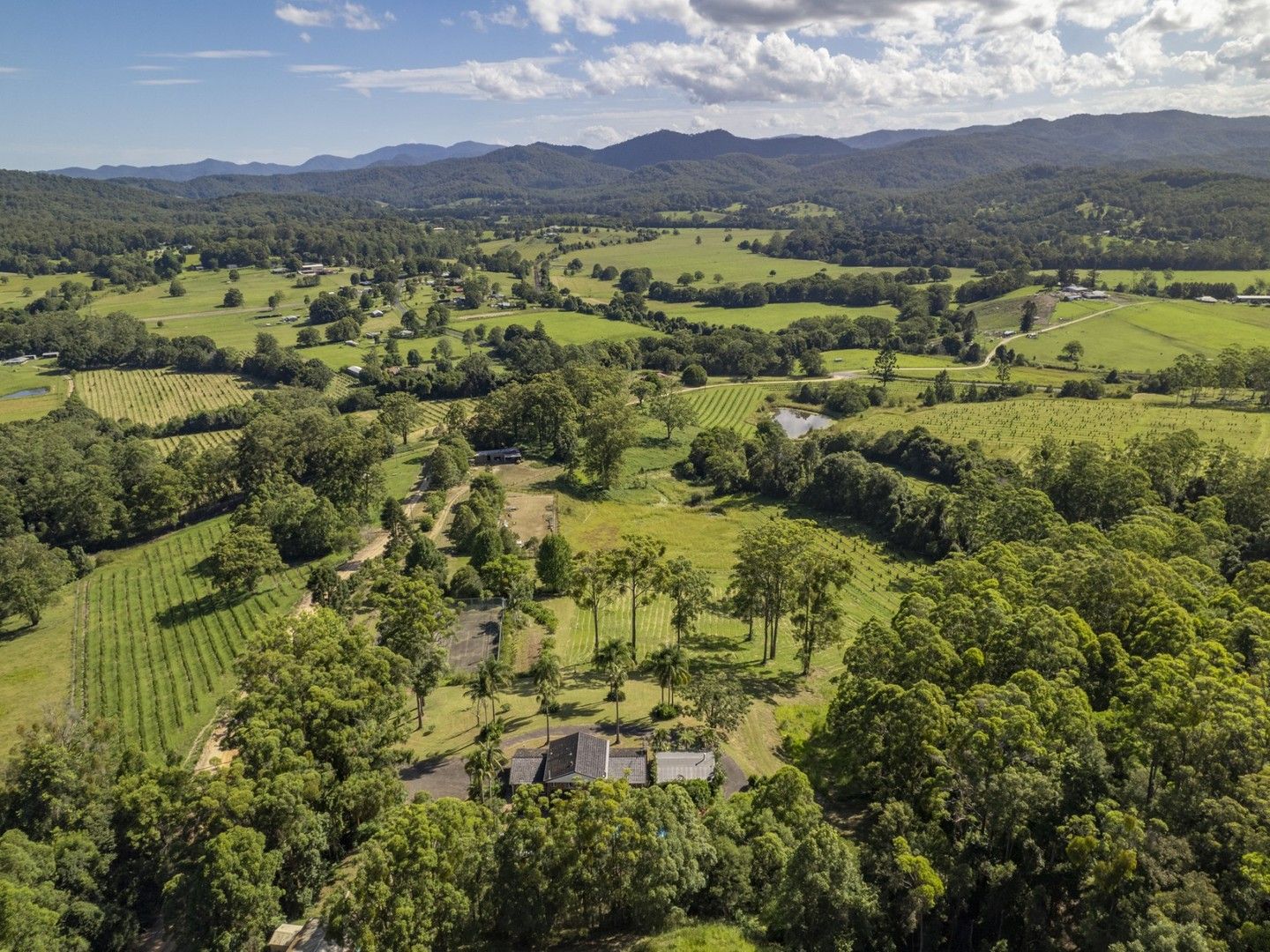 49 Kings Ridge Forest Road, Coramba NSW 2450, Image 0