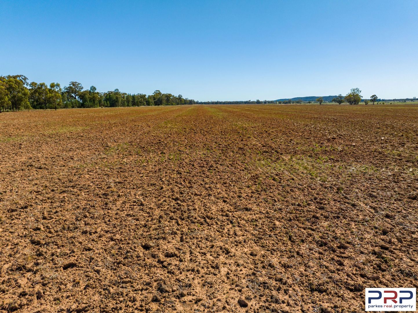 4668 Trundle Road, Bogan Gate NSW 2876 Farm for Sale Domain