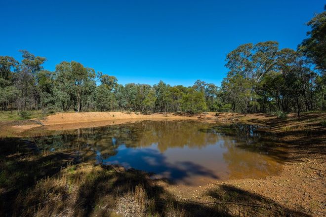 Picture of 589 Patrick Road, DUNEDOO NSW 2844