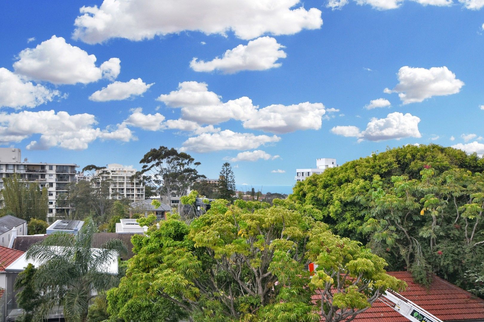 2 bedrooms Apartment / Unit / Flat in 12/38a Flood Street BONDI NSW, 2026