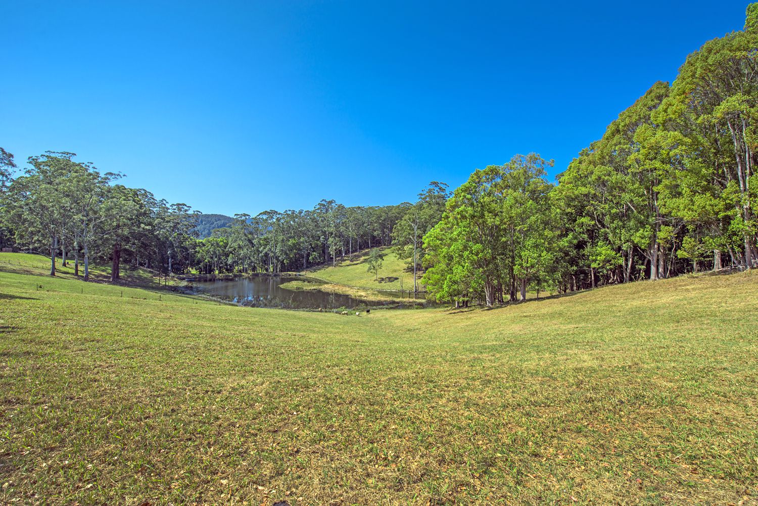 375a Upper Orara Rd, Upper Orara NSW 2450, Image 1