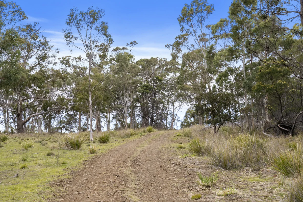 Additional image 12 of 4/194 Bresnehans Road, Little Swanport TAS 7190